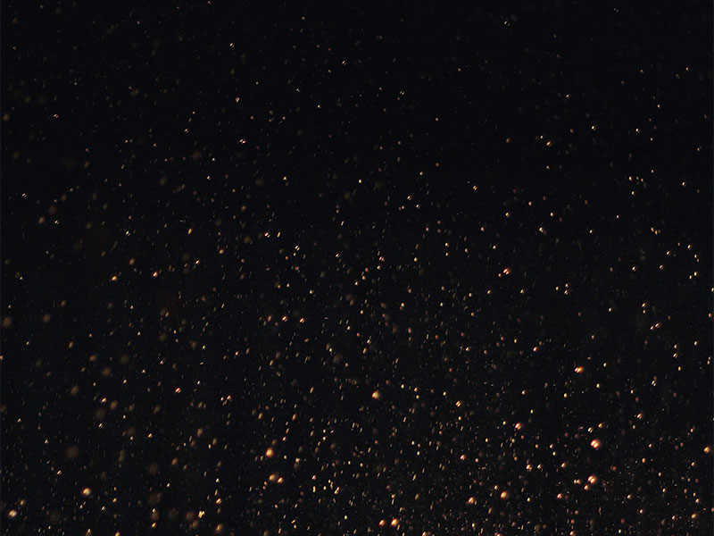 Online Nadi Josiyam in Tamil Nadu